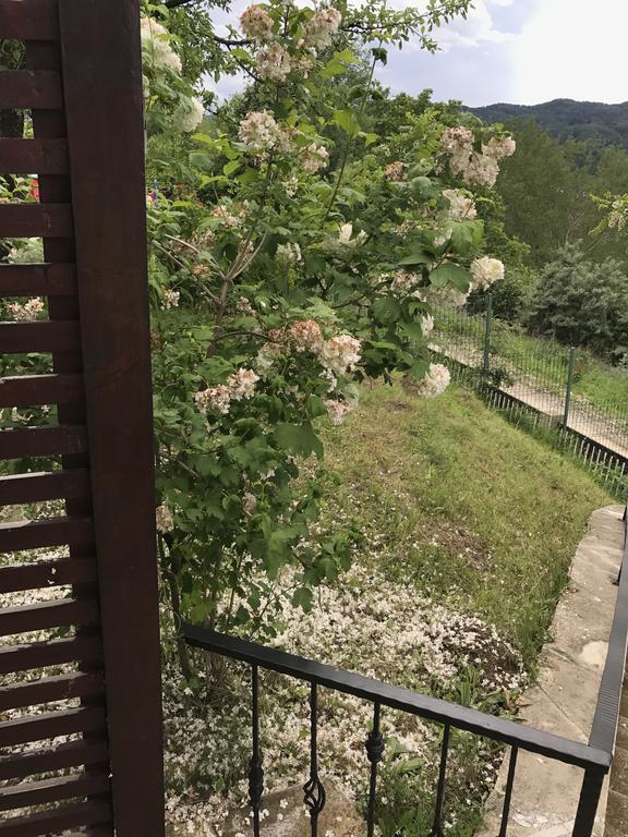 Cabana Breaza - Skyview Cottage Kültér fotó